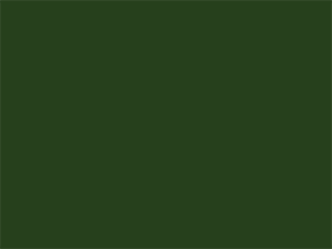 Allbäck linaõlivärv, roheline umbra / Green umber